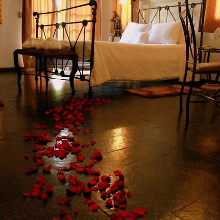 Hotel Caicara Bistro E Eventos Ltda 伊塔佩鲁纳 外观 照片