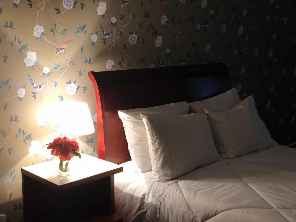 Hotel Caicara Bistro E Eventos Ltda 伊塔佩鲁纳 外观 照片